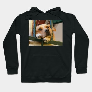 The look of Love :) Hoodie